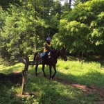 引退レースを完走で飾ったオタノシケ
