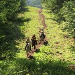 40KM走行中のアスティとアミー